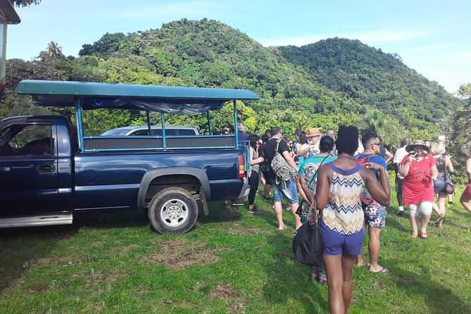 St. Kitts Safari Extravaganza  - St Kitts - Overview of St. Kitts Safari Tour