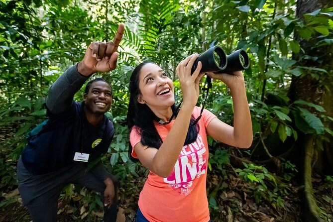 St Lucia Birdwatching Tour at Rainforest Adventures - Overview and Location