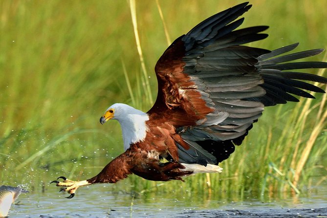 St Lucia Isimangaliso Boat Safari Day Tour From Durban - Pickup Details