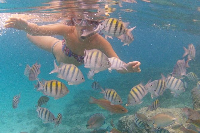 St. Thomas Private Taxi to Coki Beach and More  - St Thomas - Tour Details and Highlights