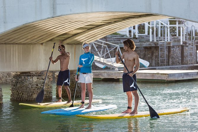 Stand up Paddle Board Hire Knysna 2 Hour - Tips for Beginners