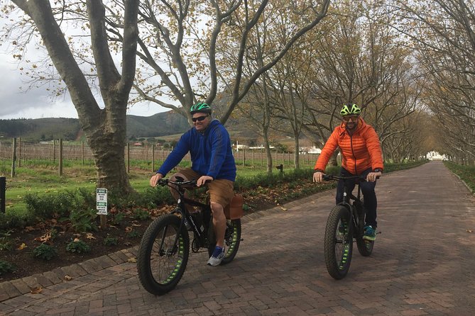 Stellenbosch E-Bike (Half Day) Wine Farm Tour - Booking and Availability