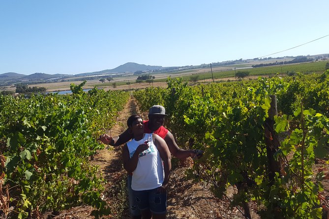 Stellenbosch Franschhoek Full-Day Tour With Cheese Tasting - Tour Highlights