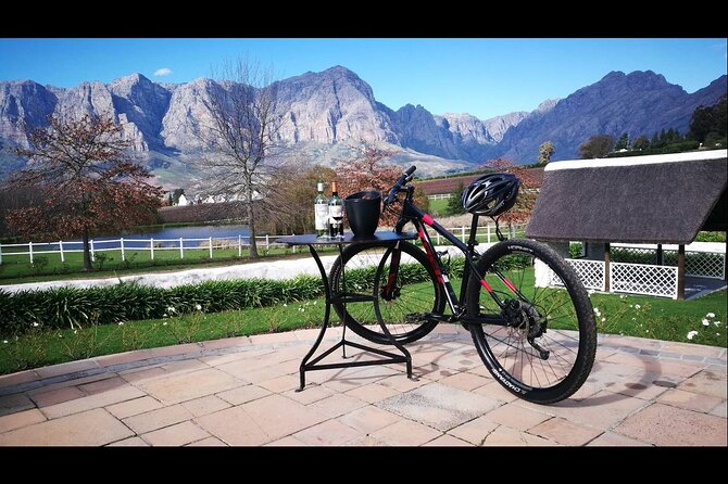 Stellenbosch Private E-Bike & Wine Tour - Tour Highlights