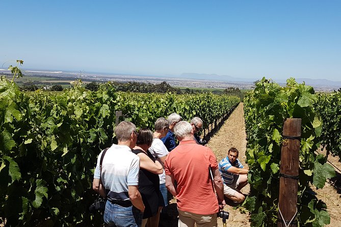 Stellenbosch Valley. Private Wine Tour With Winemaker in Swedish or English. - Pricing and Booking Details