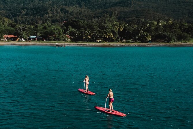 Step Paddle Rental in Guadeloupe - Activity Details and Accessibility