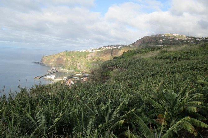 Sugar Route - Levada Nova (Half Day Walk) - Tour Details