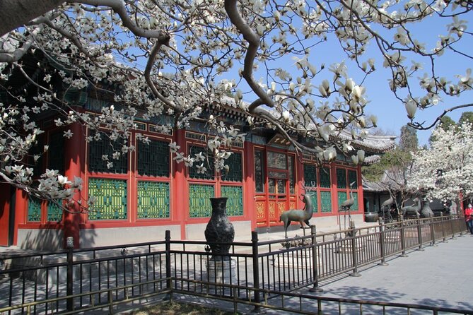 Summer Palace Tickets Booking Optional Guide Service - Booking Information Overview