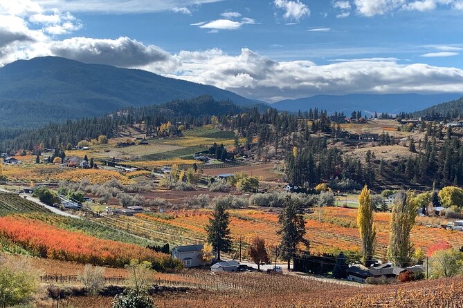 Summerland Bottle Neck Drive Holy Sip Full Day Shared Tour With Lunch Stop - Tour Details