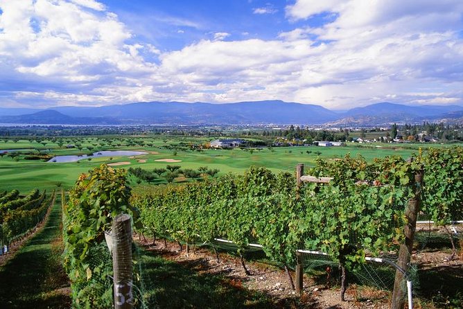Summerland Wine Tour - Classic - 4 Wineries - Tour Highlights
