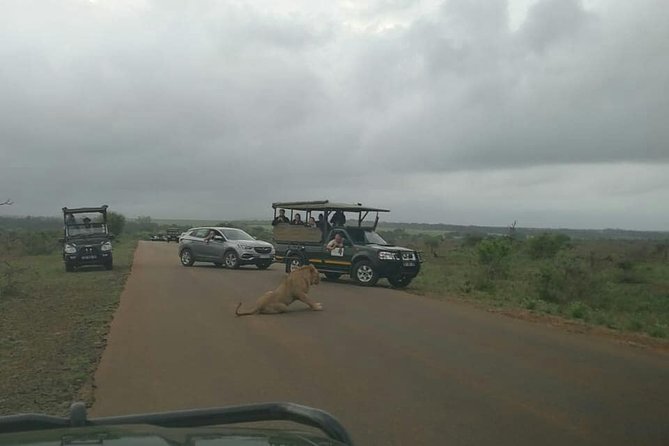 Sunrise Safari - Visual Experience