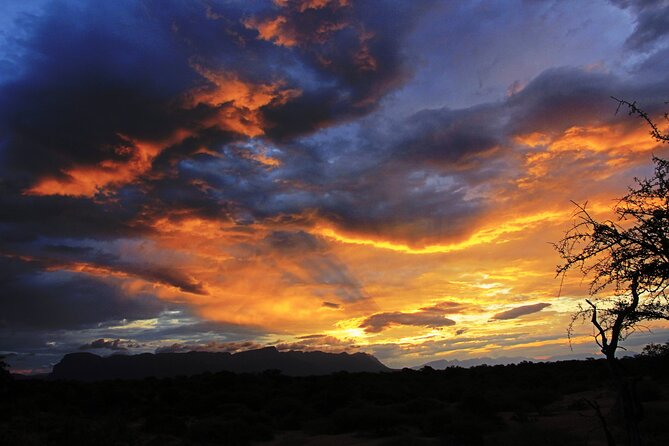 Sunset Game Drive Safari Near Hoedspruit - Tour Details