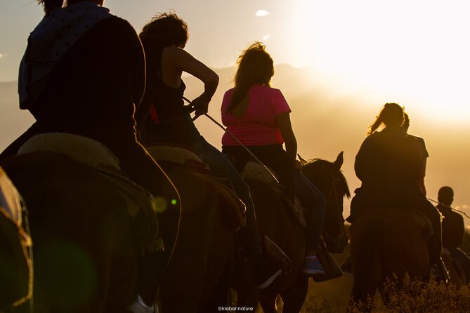 Sunset Horseback Riding - Tour Overview