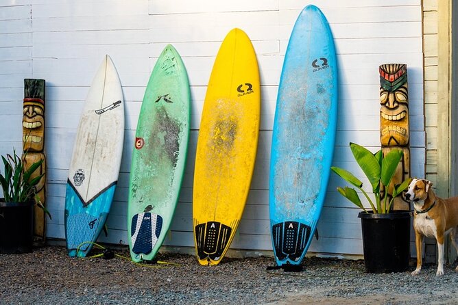 Surfboard Rental All Day Solana Beach Fletchers Cove - Location Details