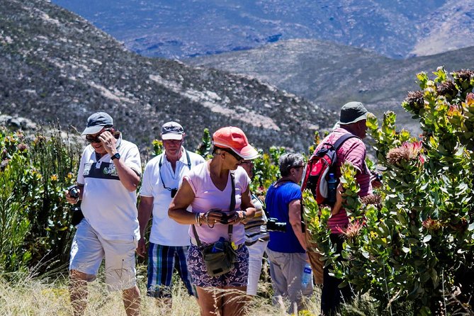 Swartberg Pass Tour Including Traditional Karoo Lunch - Pricing and Booking Information
