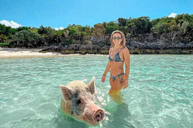Swim With Pigs & Snorkeling With Turtles Cay Hopping in Bahamas - Activity Details