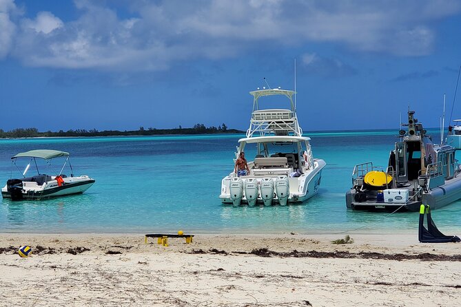 Swiming Pigs and Shark Tour Nassau to Exuma by Plane and Boat - Overview of the Tour