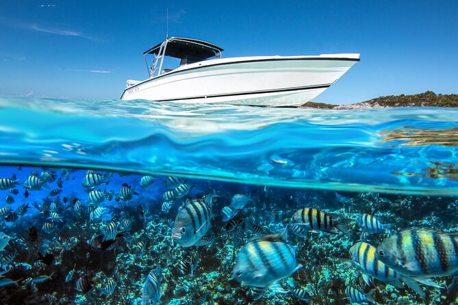 Swimming Pigs Island Turtles and Snorkeling Excursion 4 Stops - Highlights of the Snorkeling Experience