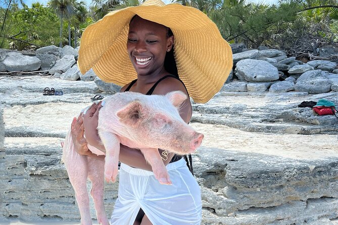 Swimming Pigs Tour on Rose Island - Tour Details