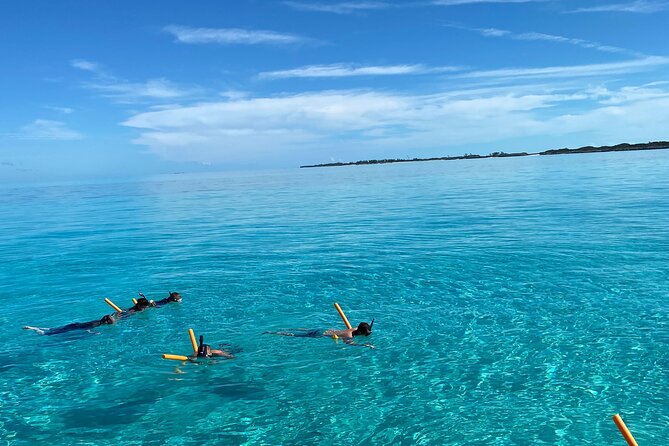 Swimming With Turtles, Snorkeling Reef and Beach Combo Tour - Tour Overview