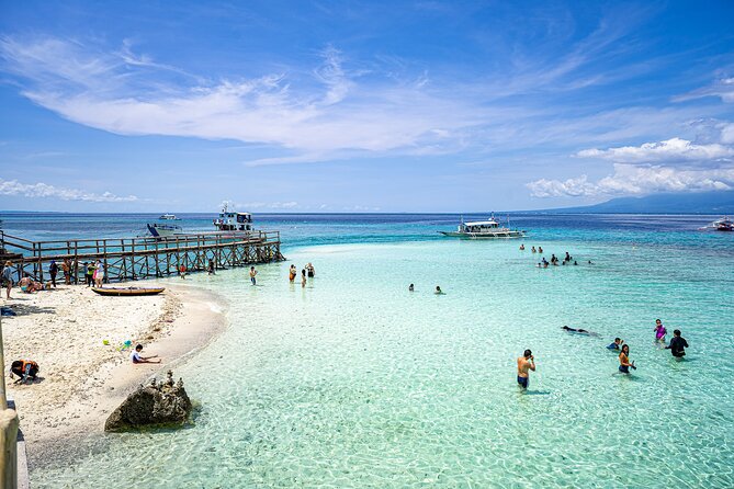 Swimming With Whale Sharks and Island-Hopping to Sumilon Island - Overview and Facilities