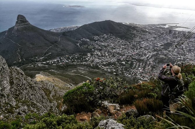 Table Mountain Adventurous Hike & Cable Car Down - Pricing and Availability