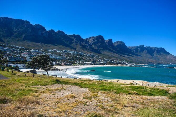 Table Mountain, Boulders Penguins & Cape Point, Private Day Tour - Itinerary and Schedule