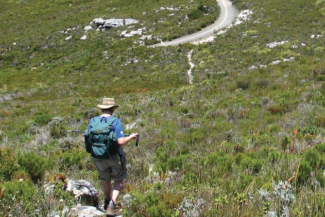 Table Mountain Hike From Cape Town - Pickup Details