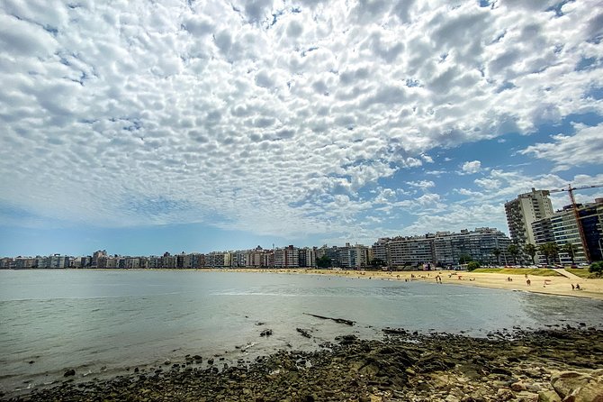 Tailor-Made Montevideo Private Tour in Electric Suv! - BMW Option - Tour Pricing and Booking Details
