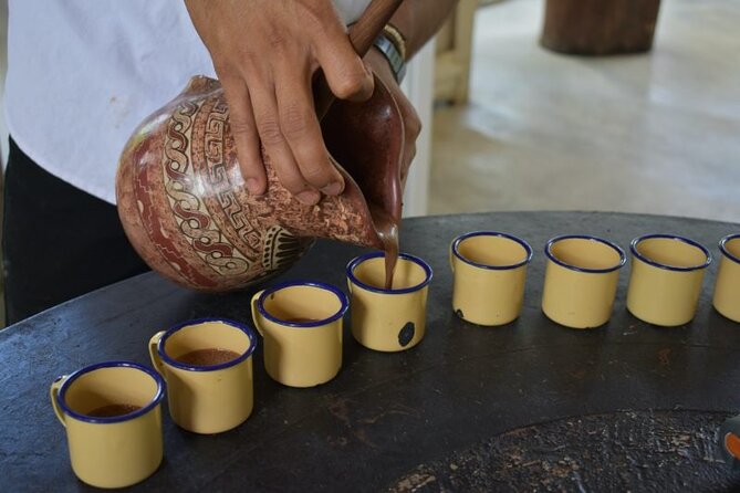 Tamarindo Private Coffee Lover's Immersion (Feb ) - Pricing and Booking Details