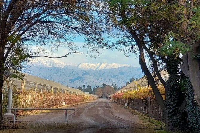 Tasting in Two Wineries Full Lunch. Transfer Included - Inclusions Provided