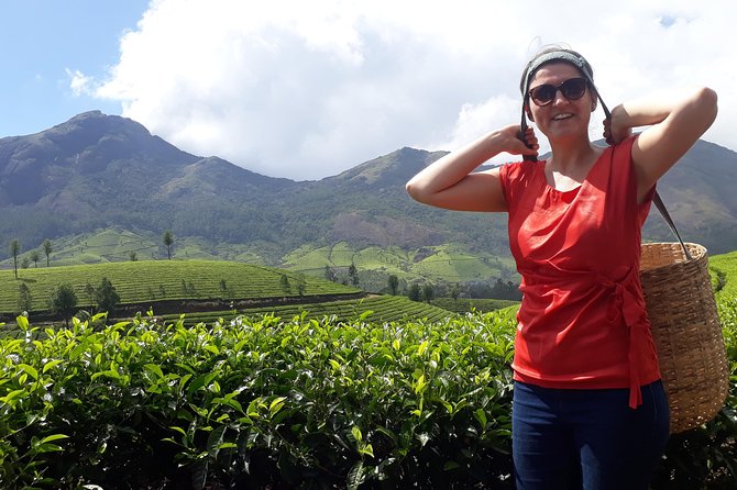 Tea Cultivation Programme - Good To Know