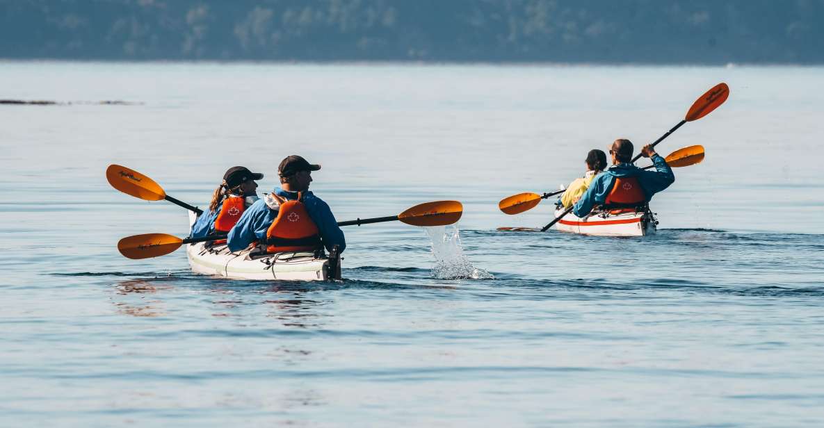 Telegraph Cove: Day Trip Kayaking Tour - Booking Details