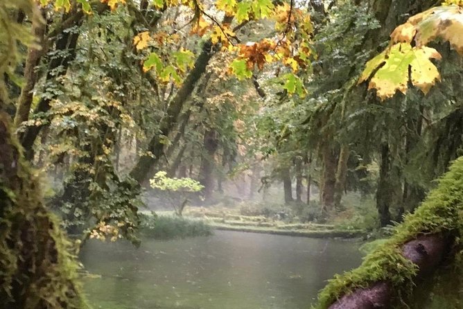 Temperate Rainforest Olympic National Park - Tour Details