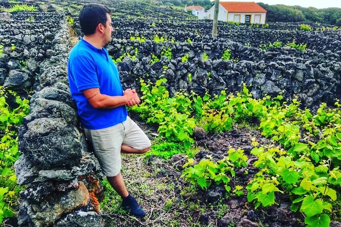 Terceira Island Full Day Tour - Itinerary Overview