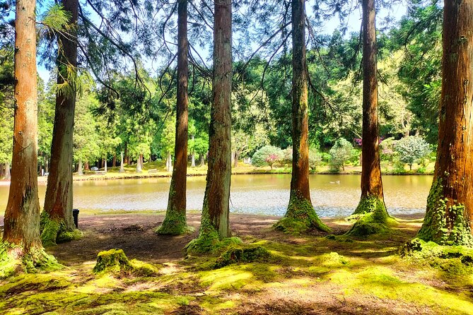 Terceira Island Private Full-Day Slow Tour With Lunch and Pickup - Lunch and Culinary Experience