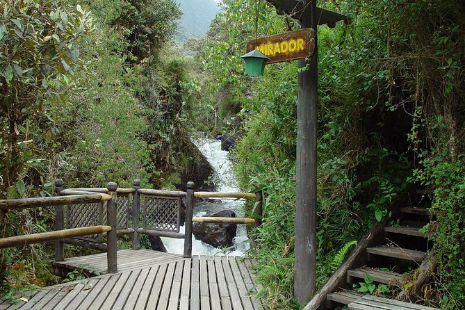 Termas De Papallacta Private Full-Day Tour & Hiking in the Forest - Spa Tickets - Reviews and Customer Feedback
