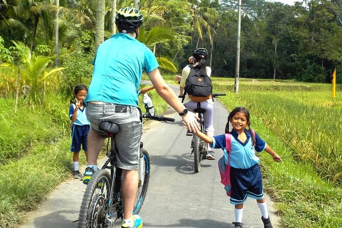 Tetebatu Cycling Tour Rice Terraces, Waterfall, And Monkey Forest - Tour Highlights