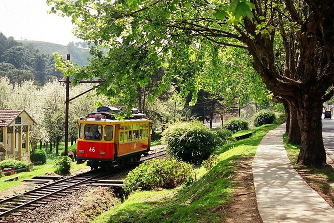The Brazilian Switzerland - Day Trip on Campos Do Jordão From São Paulo - Tourist Attractions and Activities