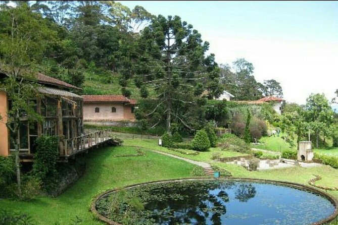 The Brazilian Switzerland - Full Day Trip on Campos Do Jordão From São Paulo - Why Choose Campos Do Jordão?