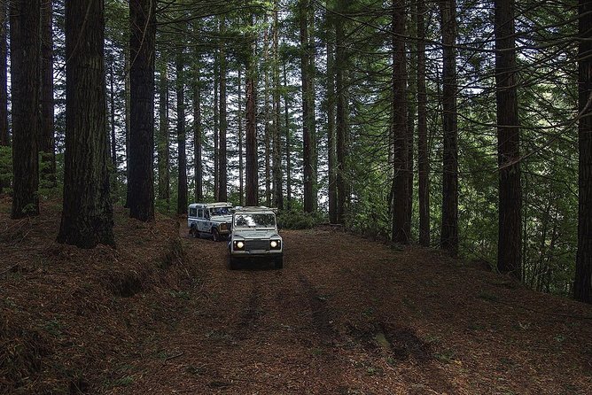 The Enchanting North – Jeep Safari Tour - Full Day - Price and Booking Details