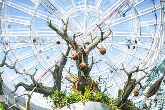 The Green Planet Dubai