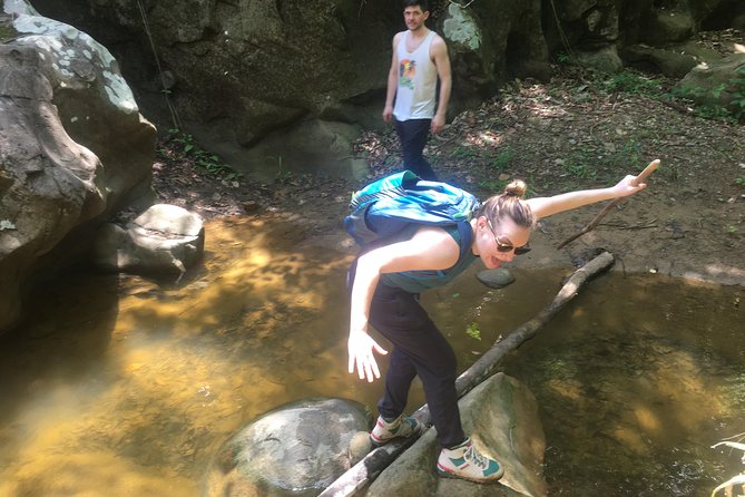 The Jaguars Footprint: Hike and Music Day Trip From Cartagena - Overview of the Hike and Music Day Trip