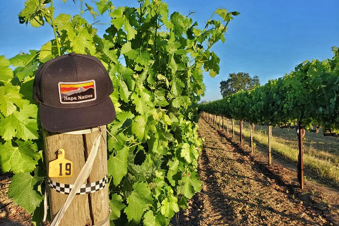 The Napa Native Experience - Napas Rich Wine History