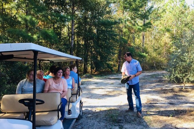 The Olive Grove Tour - Tour Details
