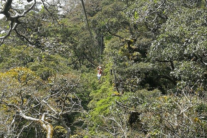 The Original Canopy Tour Monteverde, Zipline - Overview and Inclusions