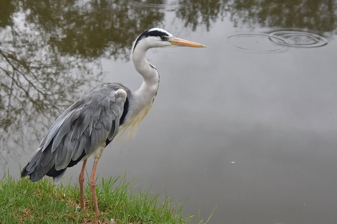 The Private Wildlife Tour - Inclusions and Logistics