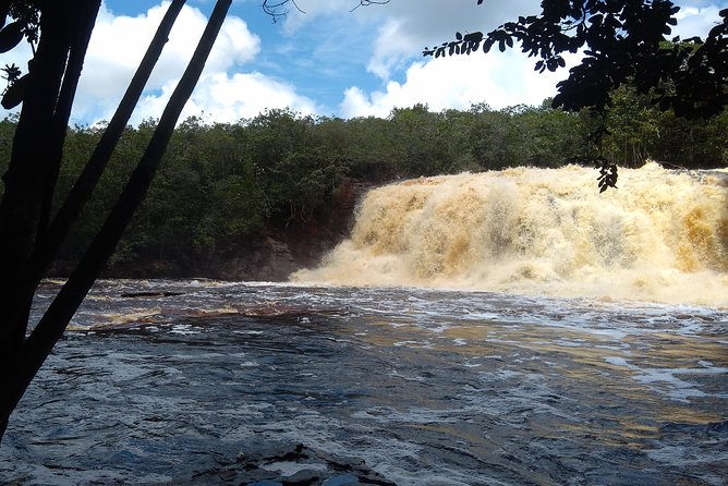 The Waterfalls of President Figueiredo - Day Tour in the Amazon - Tour Overview