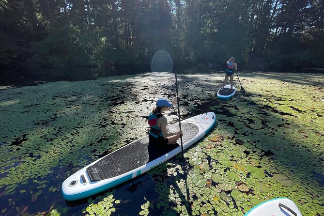 Thetis Lake Stand Up Paddle Boarding - Overview and Meeting Details