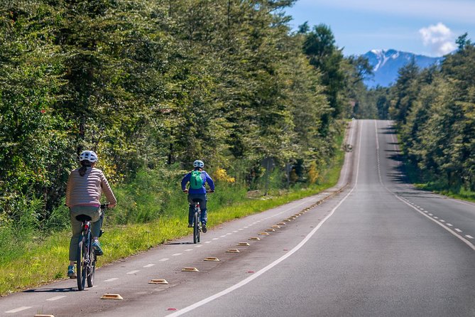 Thrilling Adventure: Bike Tour to Petrohue Falls - Tour Overview